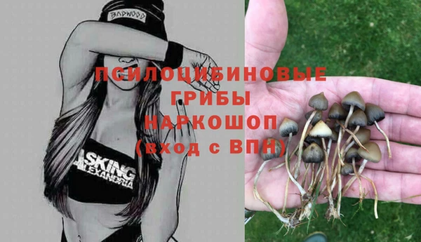 COCAINE Балахна